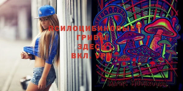 стафф Кулебаки