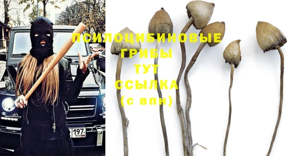 стафф Кулебаки