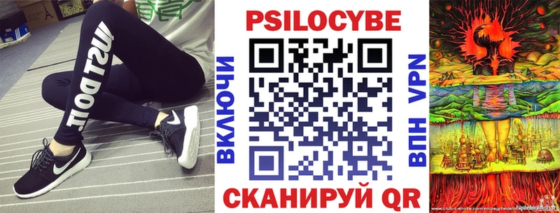 Купить закладки  Жирновск  Псилоцибиновые грибы Psilocybine cubensis 